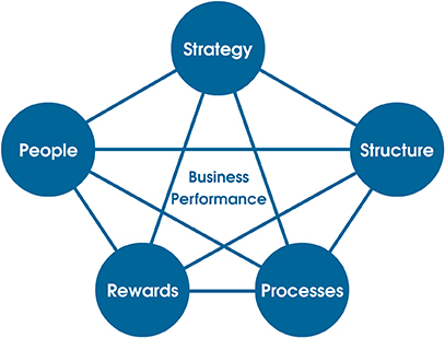business performance - strategy, structure, processes, rewards, people
