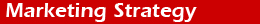 Marketing Strategy