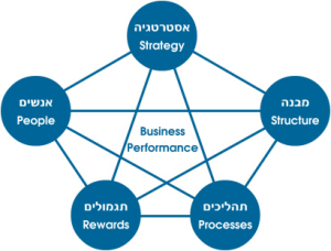 business performance - אסטרטגיה, מבנה, אנשים, תהליכים, תגמולים.
